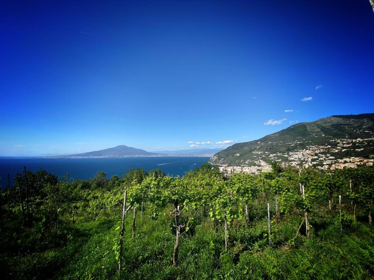 La Badia Montechiaro - Breathtaking View Of Sorrento Coast Villa Vico Equense Luaran gambar