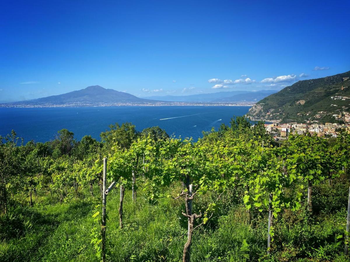 La Badia Montechiaro - Breathtaking View Of Sorrento Coast Villa Vico Equense Luaran gambar